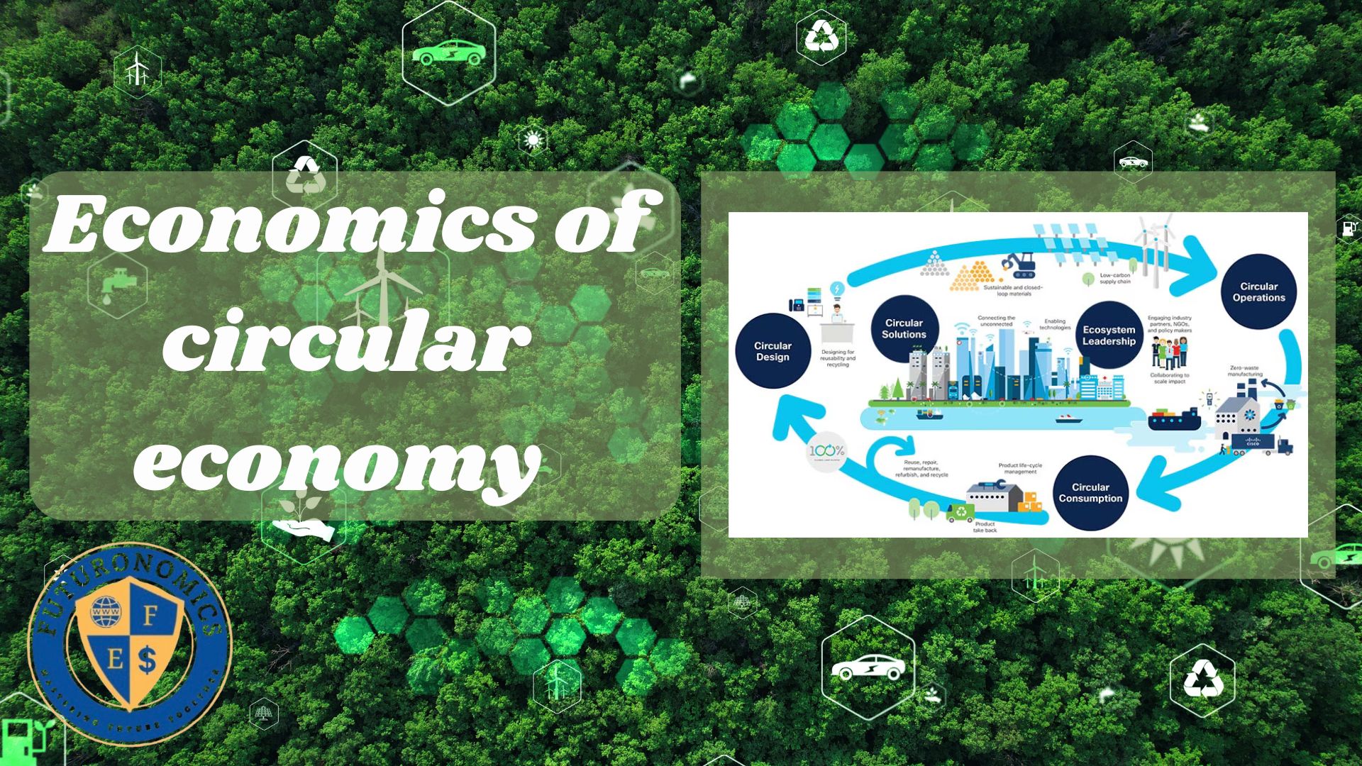 Economics of Circular Economy